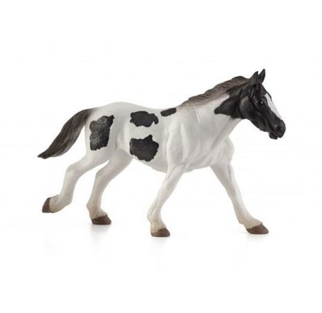 Mojo Irský tinker roček