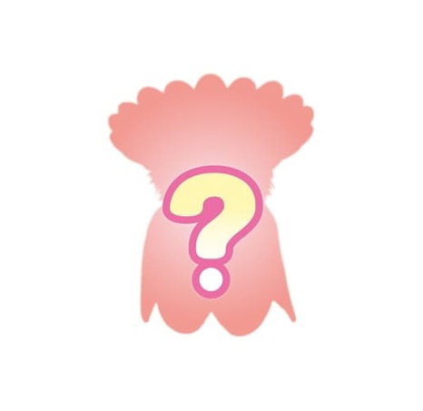 Sylvanian Families  Baby zvířátka v kostýmech lesní víly