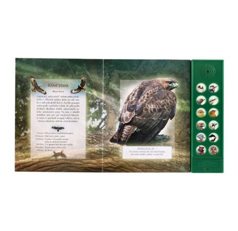 Zvuková knížka Ptáci našich lesů