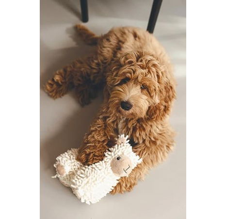 Beeztees ECO Hračka pro psy Ovečka Jovi 20cm