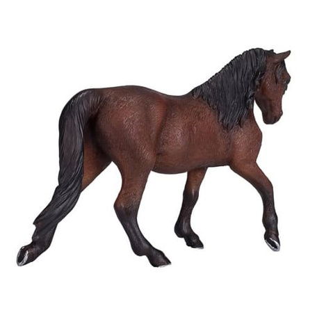 Mojo Kůň morgan hnědý