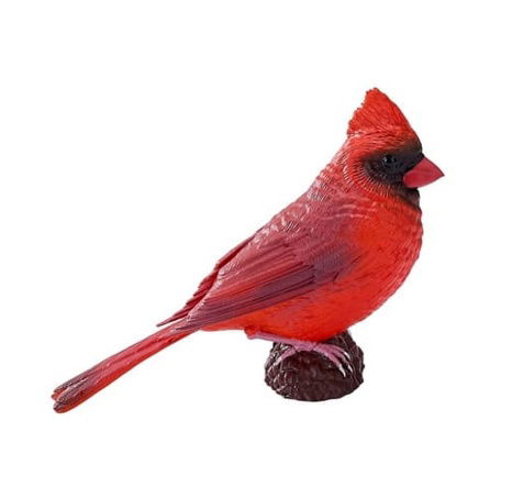 Mojo Kardinál červený