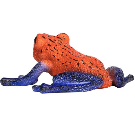 Mojo Pralesnička drobná