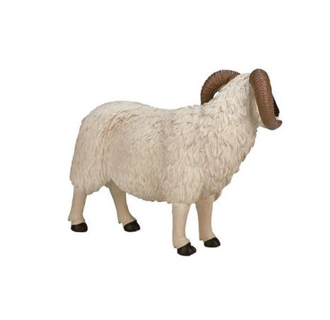 Mojo Hampshire beran