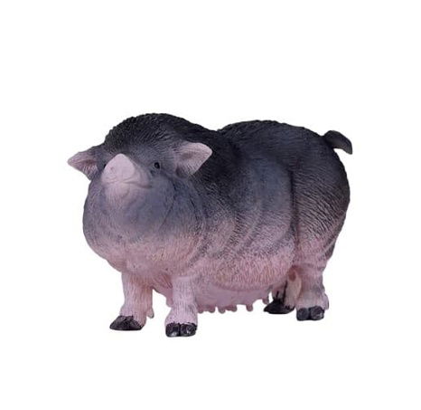 Mojo Vietnamské svislobřiché prase