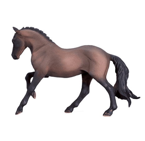 Mojo Hannoverský kůň