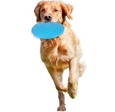 Flamingo Frisbee Morrison gumové průměr 22cm