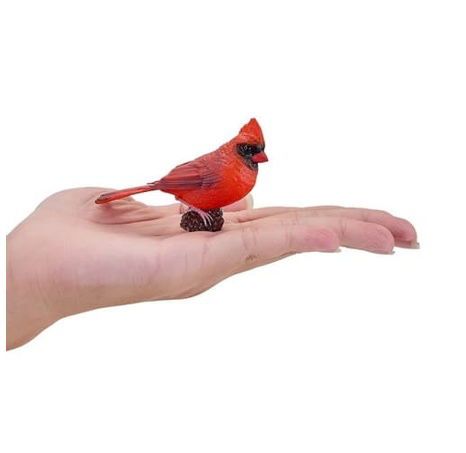 Mojo Kardinál červený