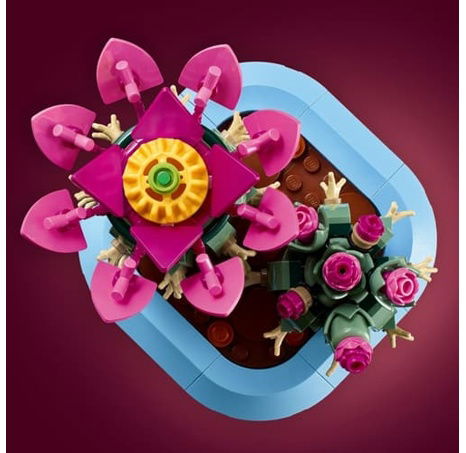 LEGO® Botanicals 11509 Kvetoucí kaktus