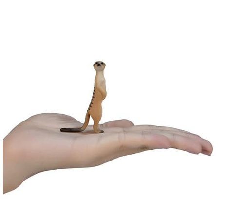 Mojo Surikata