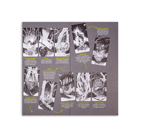 Albi Mozkovna Myriorama - Tajemné sídlo/Hluboké lesy/Nekonečná odysea