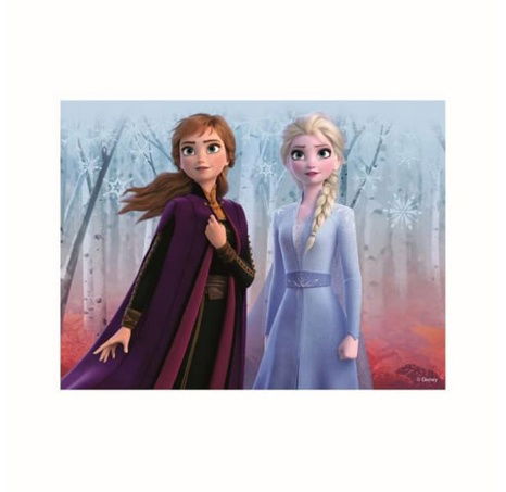 FROZEN II 12 Dřevěné licenční kostky