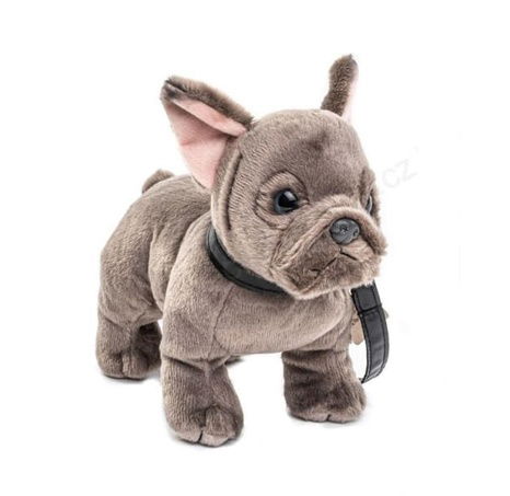 Plyš Francouzský buldoček s vodítkem 23 cm