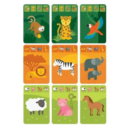 Petit Collage Karty v dóze království zvířat