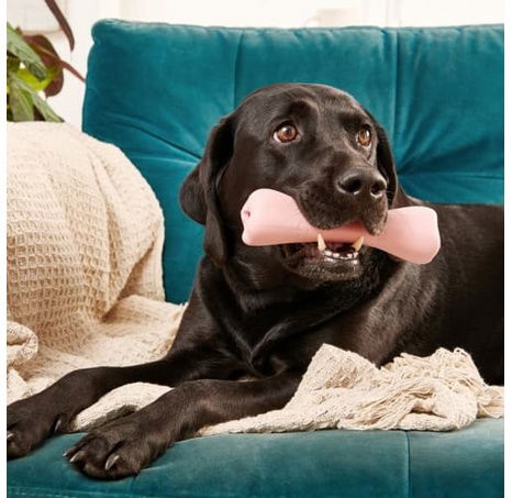 Beco Treat Bone Hračka pro psy růžová 17,5cm