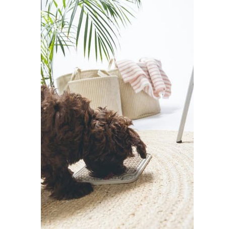 Beeztees Gumová lízací podložka Šedá 20cm