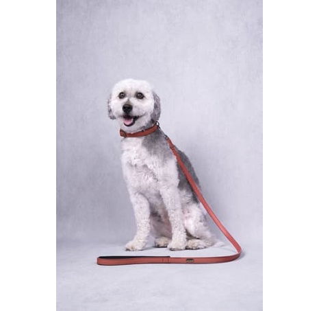 Flamingo Binti Kožený obojek s neoprenem Červená XXL