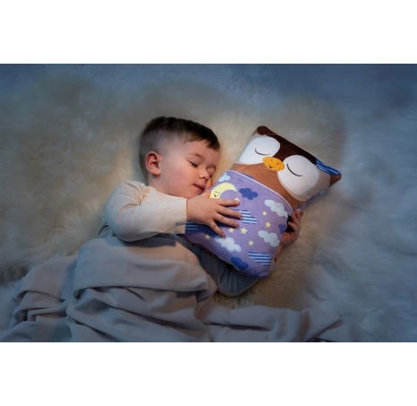 NICI Cosidoos plyš Sova oboustranný motiv 30x20cm