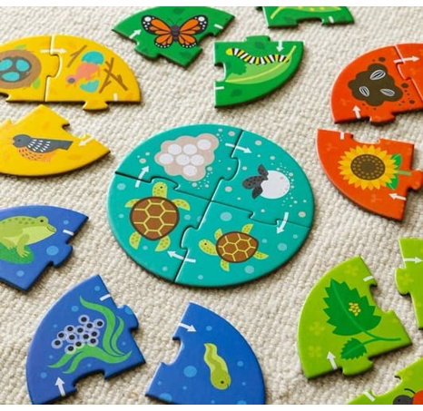 Petit Collage Puzzle pro objevitele Koloběh života