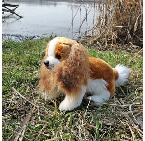 Rappa Plyšový pes kavalír King Charles španěl 28 cm ECO-FRIENDLY