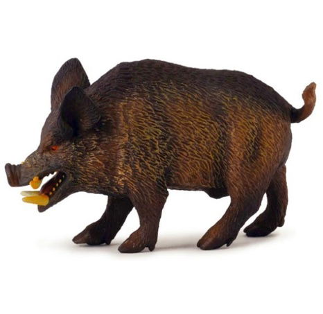 Wildschwein Schwein