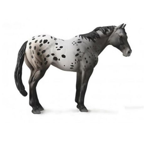 Appaloosa Blue grošák