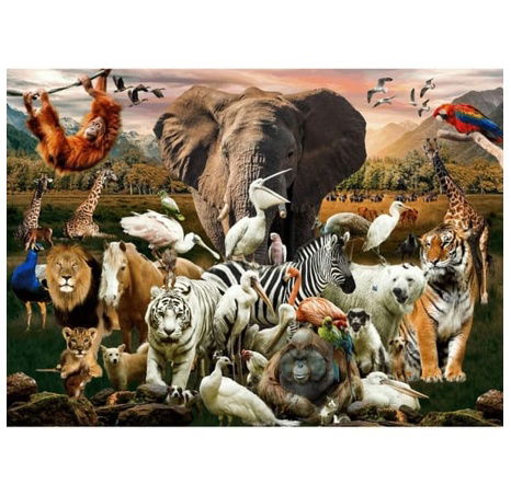 Brain Tree Puzzle Zvířata 1000 dílků