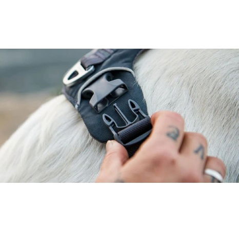 RUFFWEAR Front Range® Postroj pro psy Basalt Gray S