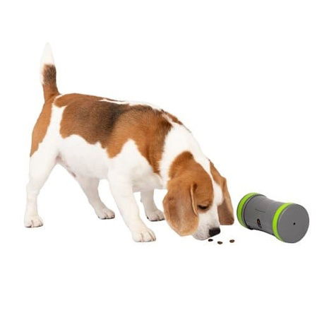 PetSafe® Kibble Chase™ Elektronická hračka pro psy