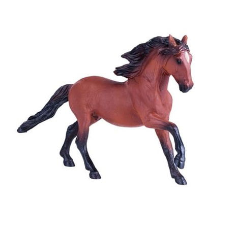 Mojo Lusitánský kůň hnědý