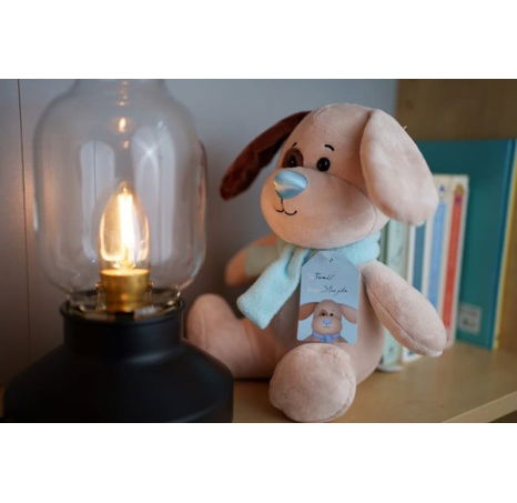 Colorful Noses Pejsek plyšový 25 cm