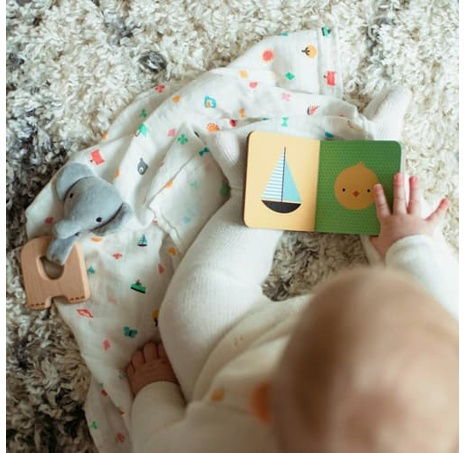 Petit Collage Dárkový set pro miminka slon