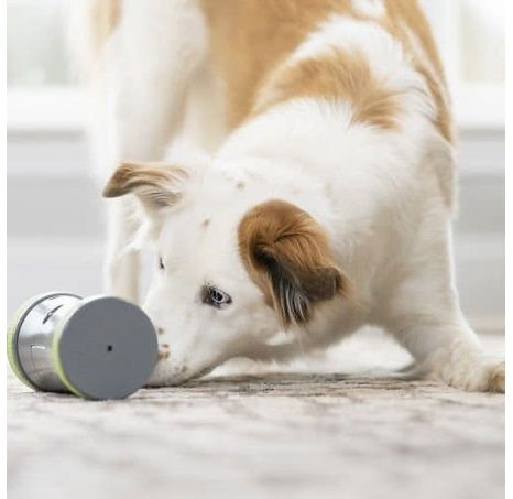 PetSafe® Kibble Chase™ Elektronická hračka pro psy