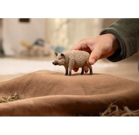 Schleich 14892 Prase mangalica
