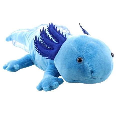 Plyš Axolotl modrý 30 cm Eco-friendly