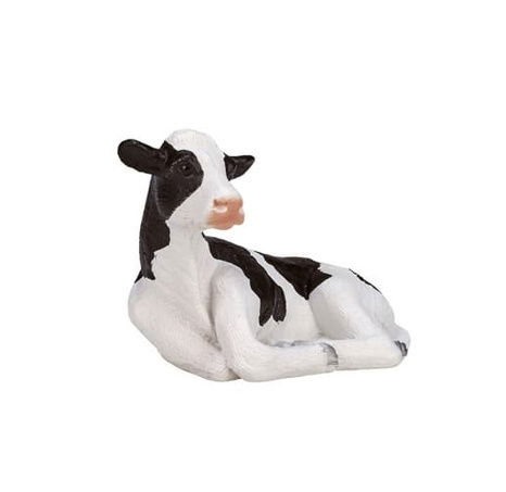 Mojo Holštýnské tele ležící