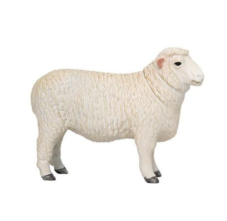 Mojo Beran romney marsh