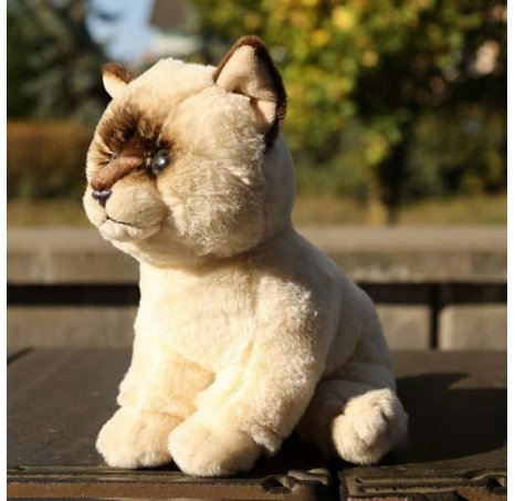 Rappa Plyšová kočka Ragdoll 23 cm SOFT COLLECTION, ECO-FRIENDLY