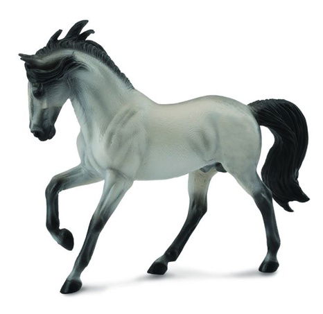 Andalusisches Pferd - Schimmel