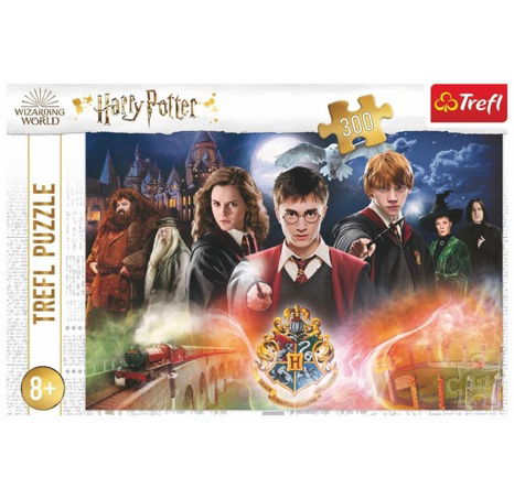 Puzzle Harry Potter - Tajemství Harryho Pottera 300 dílků