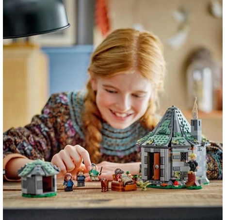 Lego LEGO® Harry Potter 76428 Hagridova bouda: Neočekávaná návštěva