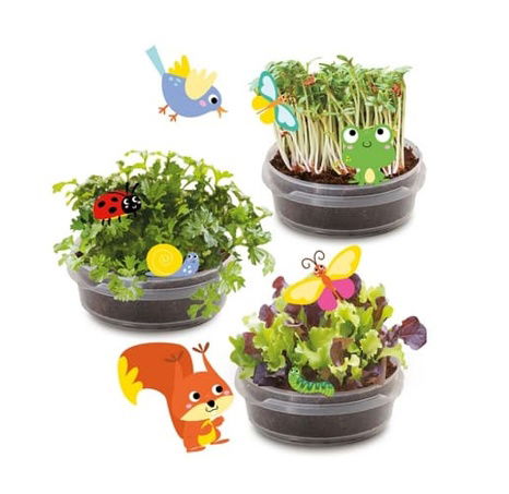 Dům na stromě - Pěstování bylinek