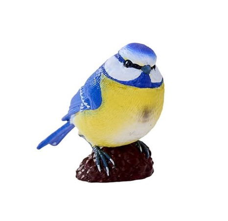 Mojo Sýkora modřinka