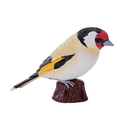 Mojo Stehlík obecný