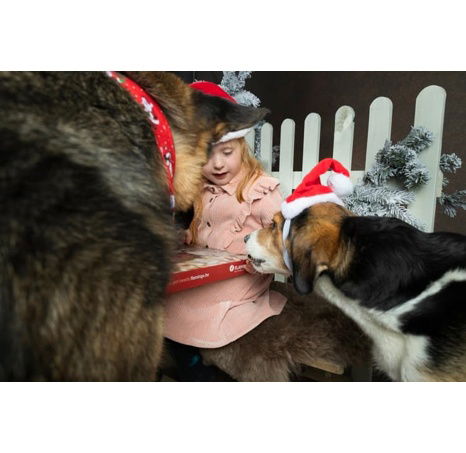 Flamingo Adventní kalendář Nature Snack 24ks