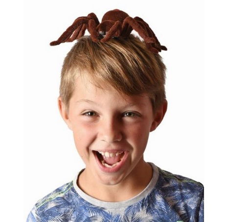 Pavouk na ovládání