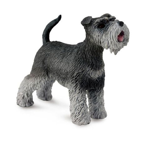 Der Schnauzer