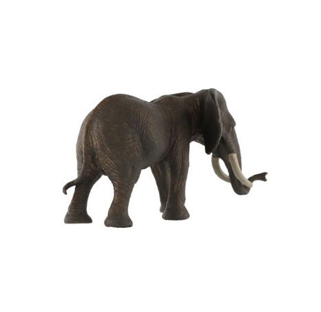 Slon africký zooted