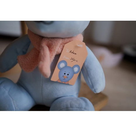 Colorful Noses Myš plyšová 25 cm