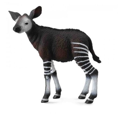 Okapi-Welpe